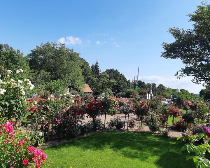 Restaurant Zum Karpfen